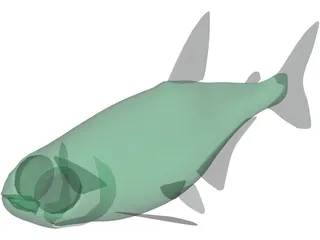Neon Tetra 3D Model preview