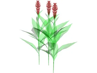 Flower 3D Model preview