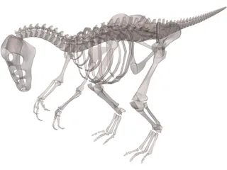 Dinosaur Skeleton 3D Model preview