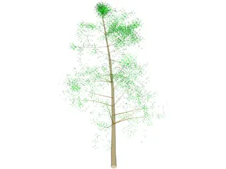 Tree Big 3D Model preview