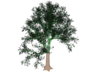 Tree 3D Model preview