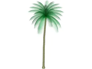 Palm Tree 3D Model preview
