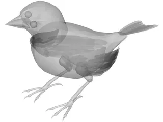 Black Bird 3D Model preview