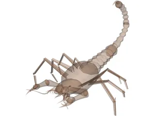 Scorpion 3D Model preview