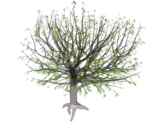 Tree 3D Model preview