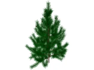 Tree 3D Model preview