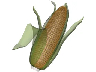 Corn 3D Model preview