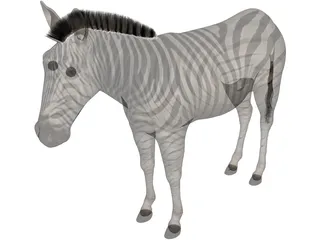 Zebra 3D Model preview