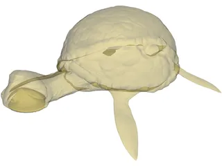 Cartoon Turtle 3D Model preview