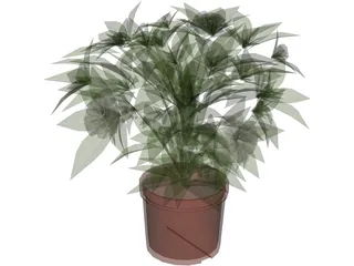 Plant 3D Model preview