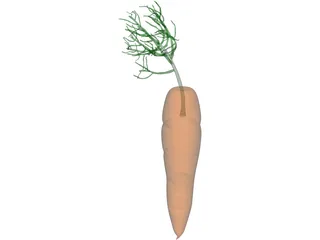 Carrot 3D Model preview