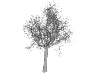 Tree 3D Model preview