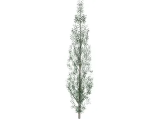 Pine Tree 3D Model preview