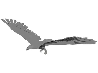 Eagle 3D Model preview