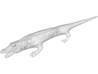 Crocodile 3D Model preview