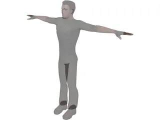 Vincent 3D Model preview