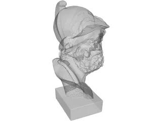 Roman Bust Statue 3D Model preview