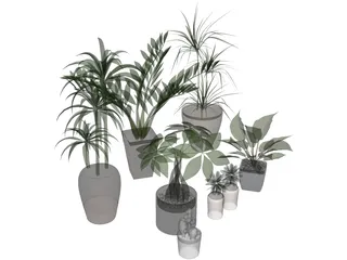 House Plant Collection 3D Model preview