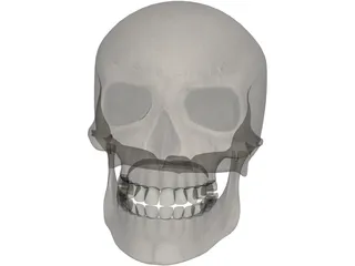 Skull 3D Model preview