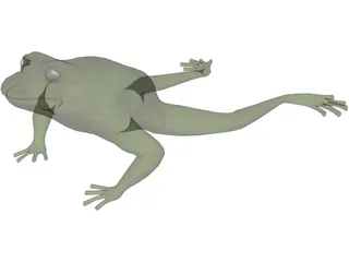 Frog 3D Model preview