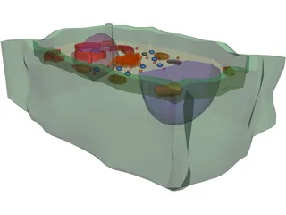 Plant Cell 3D Model preview