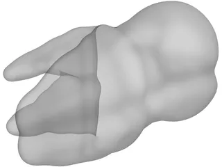 Molar Teeth 3D Model preview