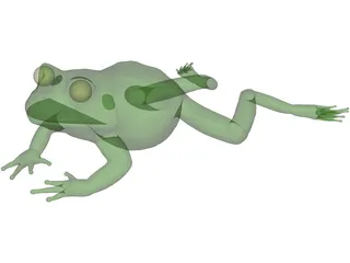 Frog 3D Model preview