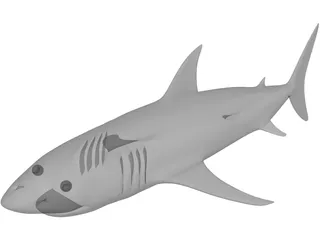 Shark White 3D Model preview