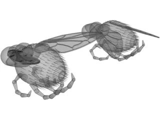 Fly 3D Model preview