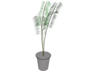 Potted Fern 3D Model preview