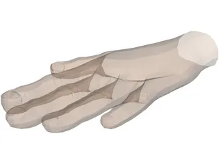Hand 3D Model preview