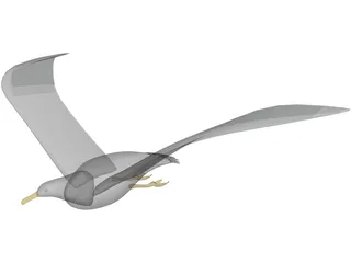 Seagull Flying 3D Model preview