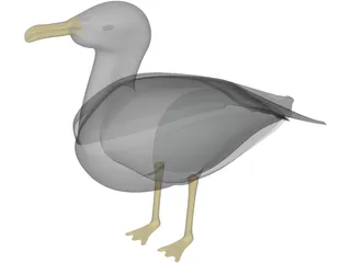 Seagull Standing 3D Model preview