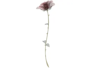 Red Rose 3D Model preview