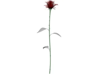 Rose 3D Model preview