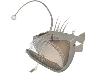 Angler Fish Angus 3D Model preview