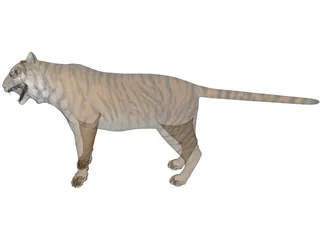Bengal Tiger 3D Model preview