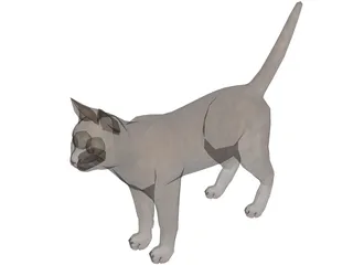 Cat 3D Model preview