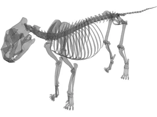 Lion Skeleton 3D Model preview