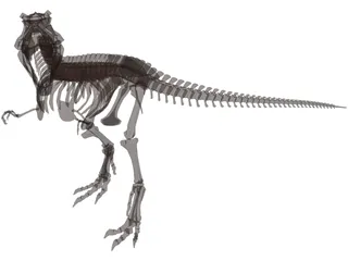 Dinosaur Skeleton 3D Model preview
