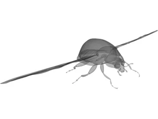 Ladybug 3D Model preview