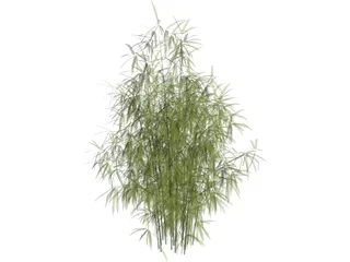Bamboo Cluster Small 3D Model preview