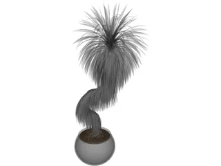 Bonsai Tree 3D Model preview