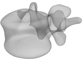 Vertebral Body 3D Model preview