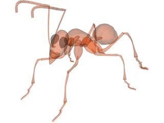 Ant 3D Model preview